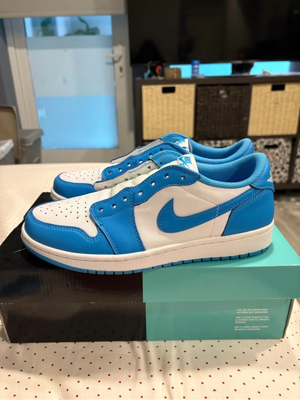 Nike Jordan 1 Low SB UNC CJ7891-401